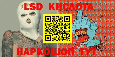 шишки Можга
