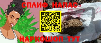 шишки Можга