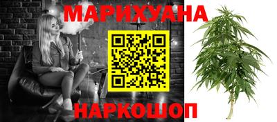 шишки Можга